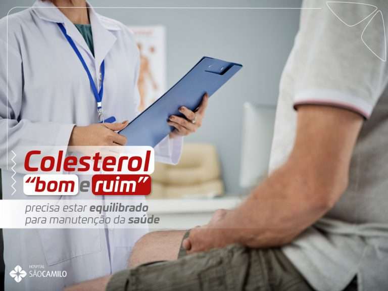 Colesterol “bom e ruim” precisa estar equilibrado para manutenção da saúde