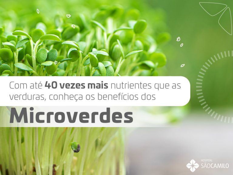 Com até 40 vezes mais nutrientes que as verduras, conheça os benefícios dos Microverdes