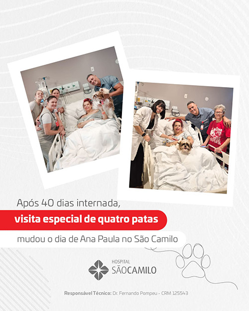 Visita Pet