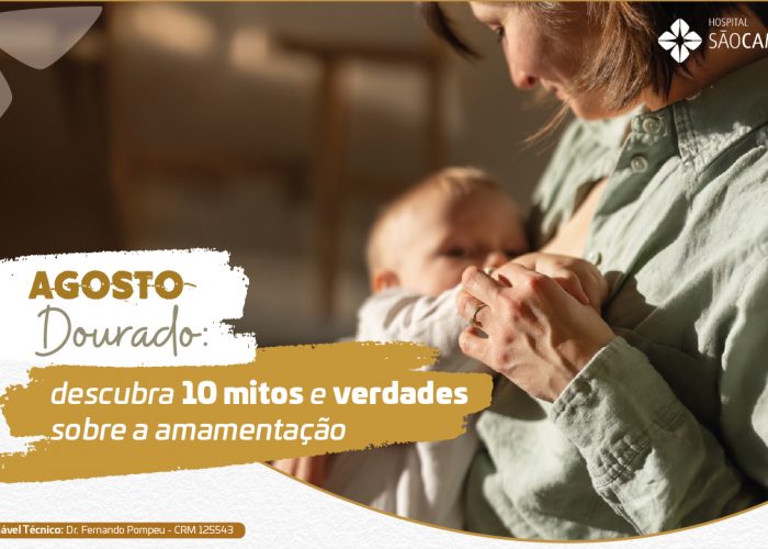 Artes Release - Mitos da Amamentação_Banner blog