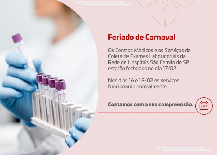 banner feriado carnaval_Prancheta 1 cópia 3